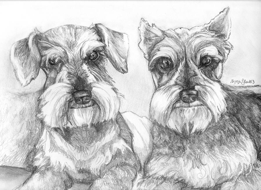 Brutus and Susie Drawing by Shana Rowe Jackson