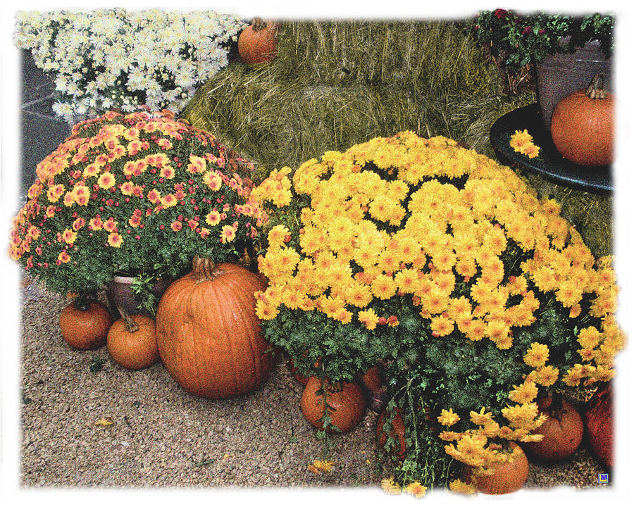 Bryant Park in October Photograph by Muriel Levison Goodwin - Fine Art ...