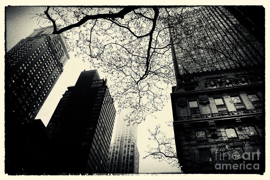 Bryant Park Skies New York City Photograph by Sabine Jacobs