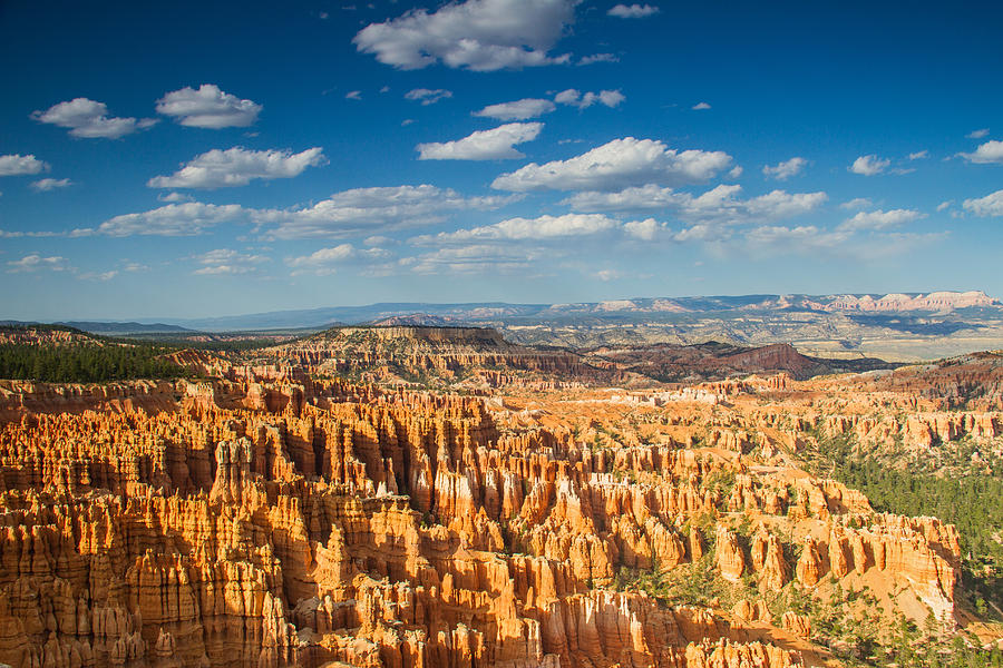 Bryce amphitheater Photograph by Kunal Mehra