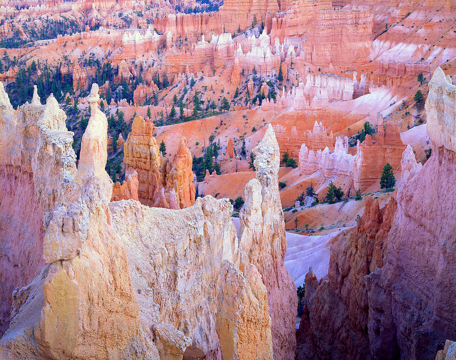 Bryce at Dusk Photograph by Ray Mathis