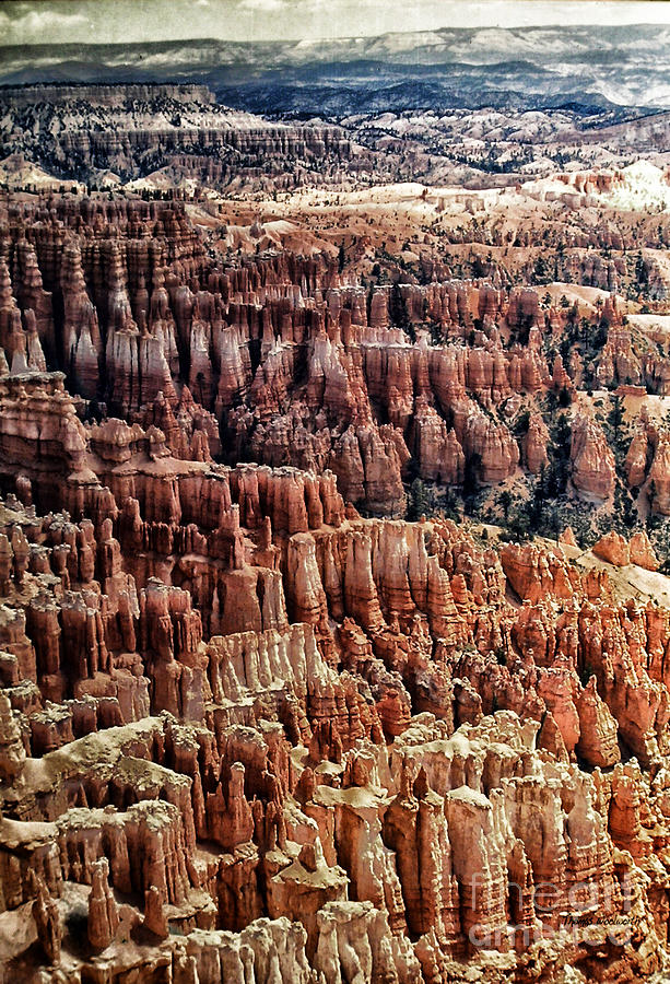Bryce Canyon 01 Photograph by Thomas Woolworth