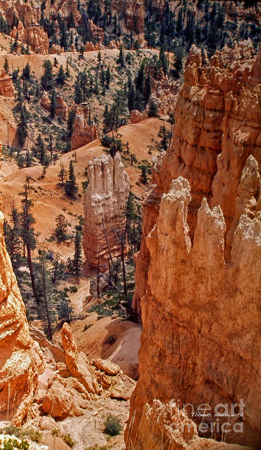 Bryce Canyon 02 Photograph by Thomas Woolworth