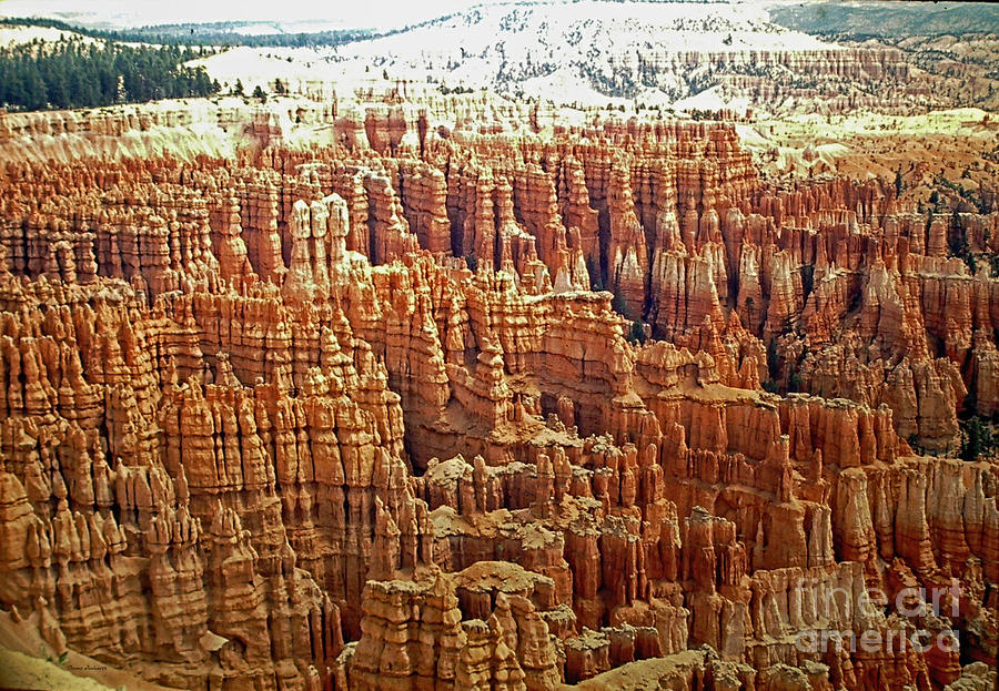 Bryce Canyon 03 Photograph by Thomas Woolworth