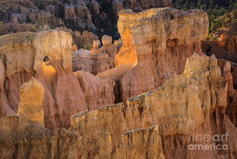Bryce Canyon 1 Photograph by David Waldrop