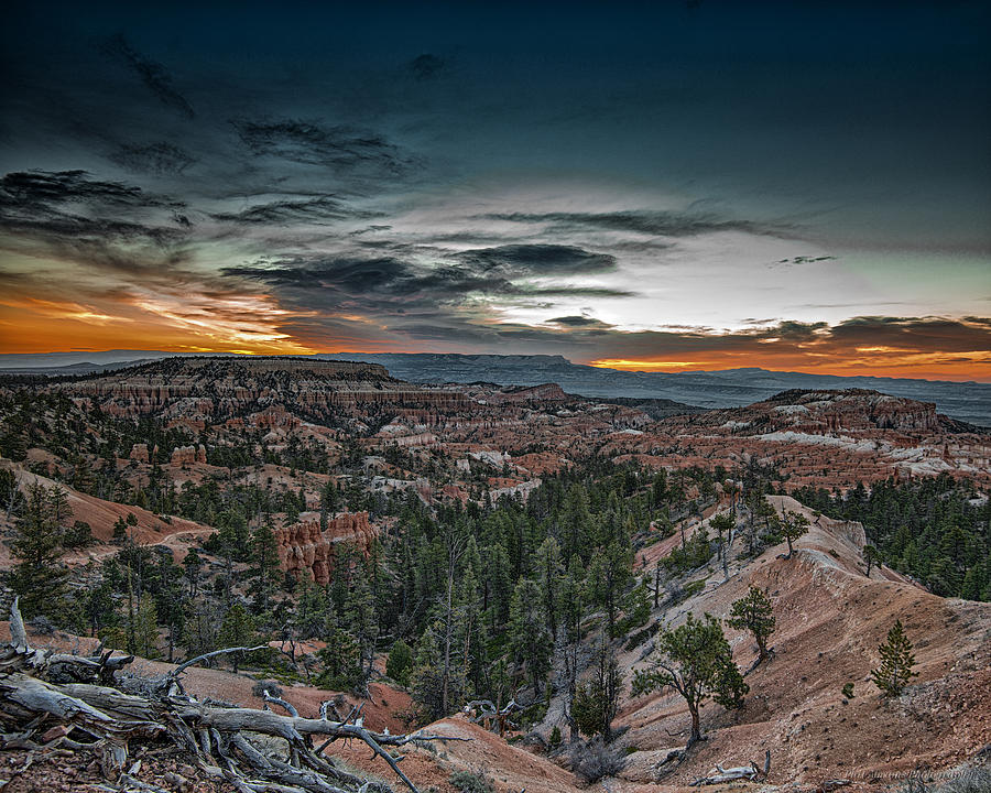 Bryce Canyon #110 Photograph by Phil Abrams