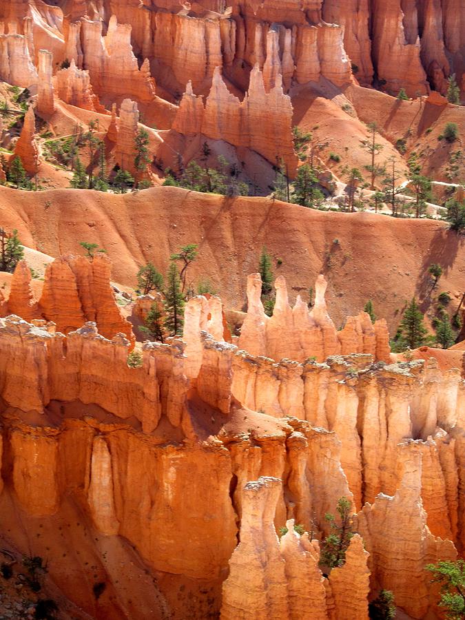 Bryce Canyon 129 Photograph by Maria Huntley