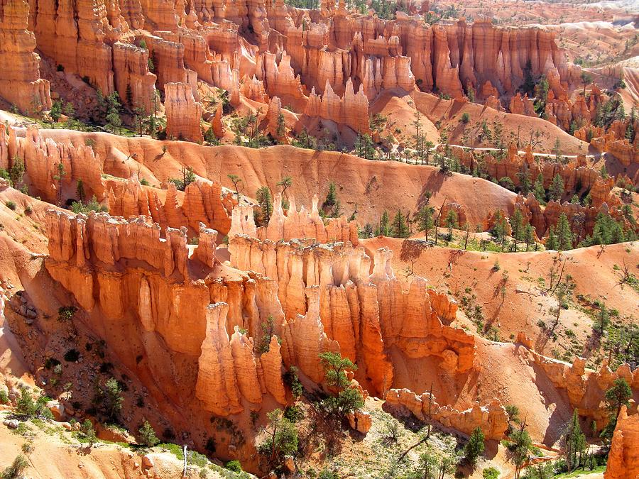 Bryce Canyon 137 Photograph by Maria Huntley