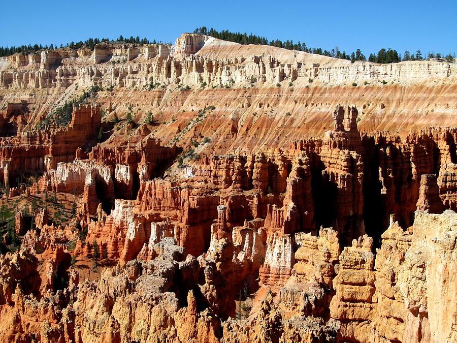 Bryce Canyon 148 Photograph by Maria Huntley