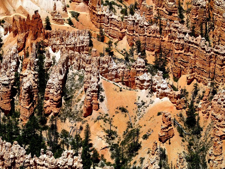 Bryce Canyon 291 Photograph by Maria Huntley