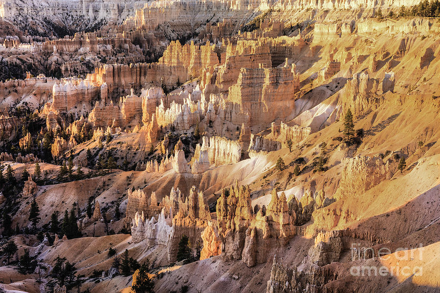 Bryce Canyon 3 Photograph by David Waldrop