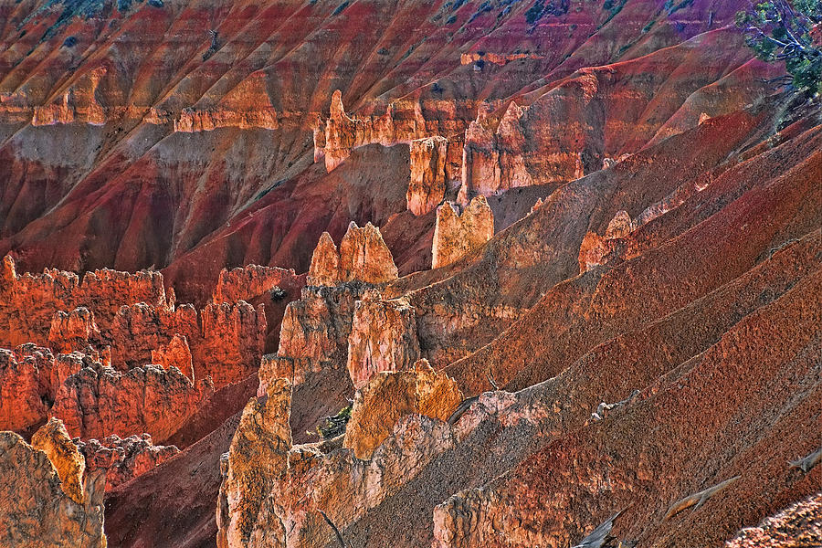 Bryce Canyon 6 - Sunset Point Photograph by Allen Beatty