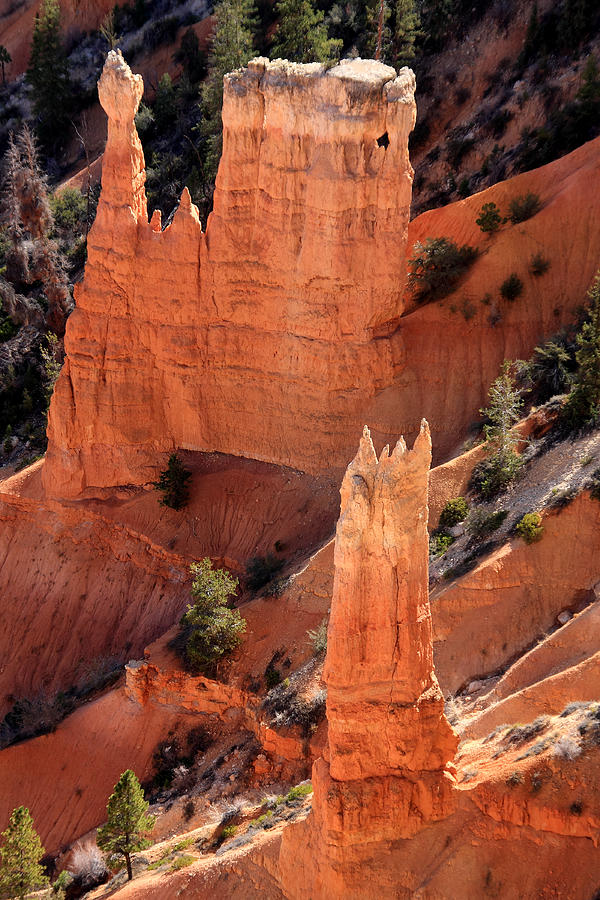 Bryce Canyon National Park - Utah - North America Photograph by Aidan Moran