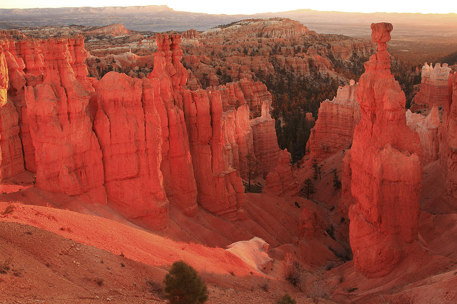 Bryce Canyon Amphitheater Photograph by Alan Vance Ley