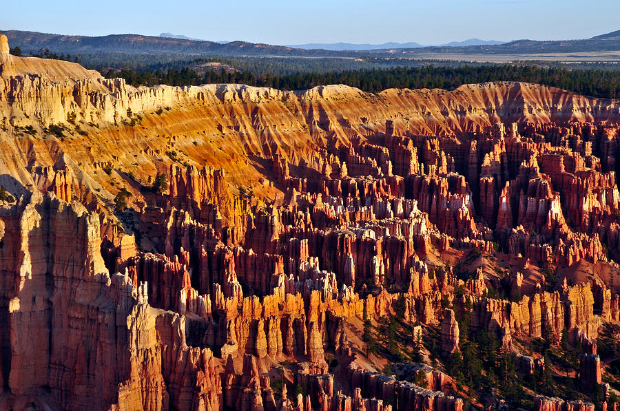 Bryce Canyon Amphitheater  Photograph by Ginger Wakem