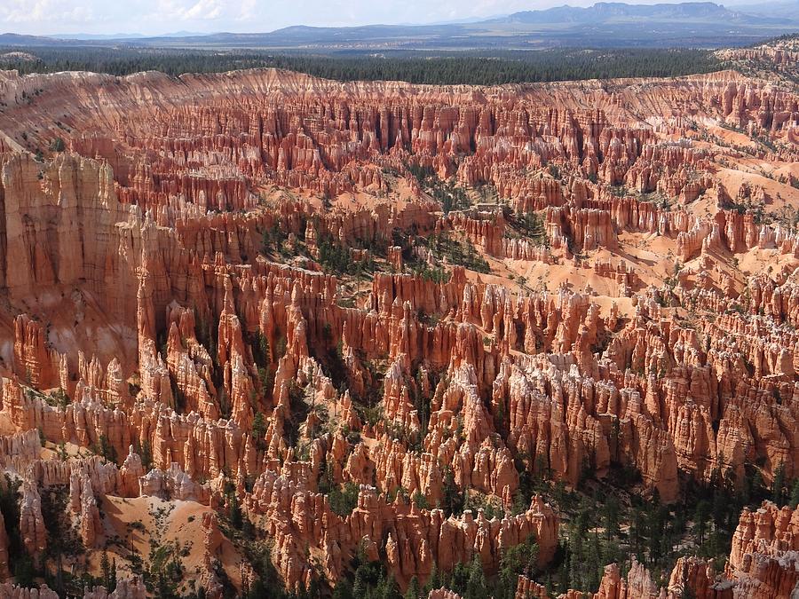 Bryce Canyon Amphitheater Photograph by Keith Stokes