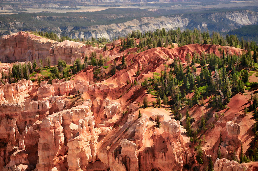 Bryce Canyon and Beyond Photograph by Ginger Wakem