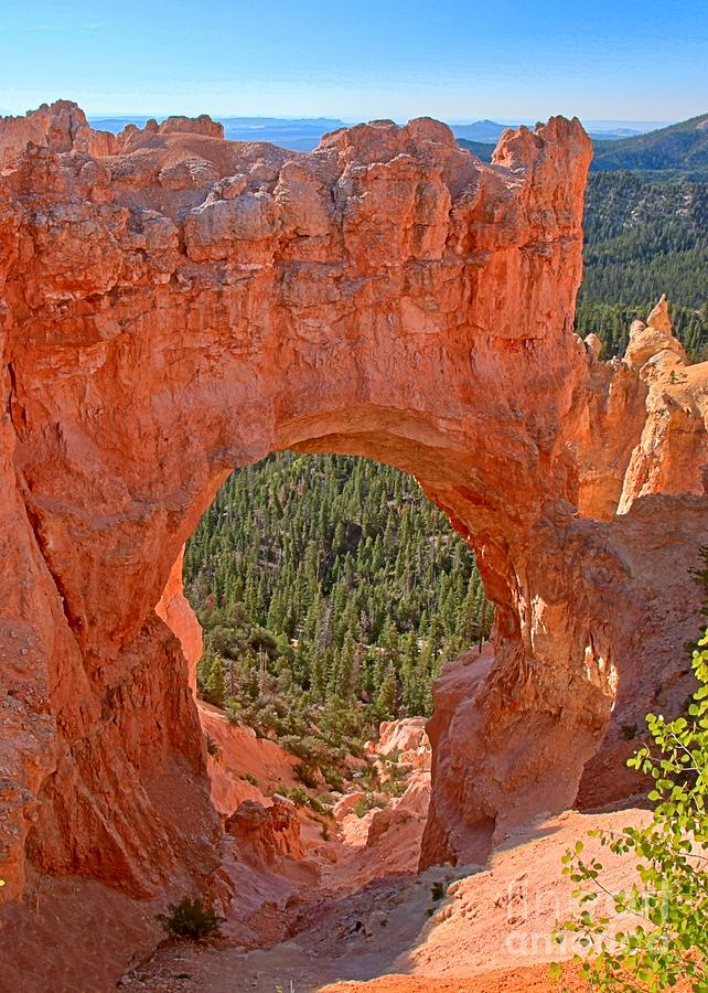 Bryce Canyon Arch Photograph by Adam Jewell