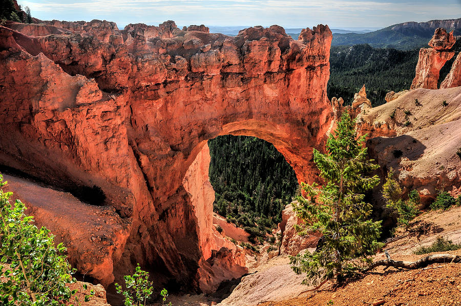 Bryce Canyon Arches Photograph by Ginger Wakem