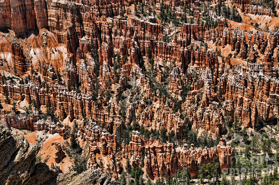 The Wonders of Bryce Canyon Photograph by Brenda Kean