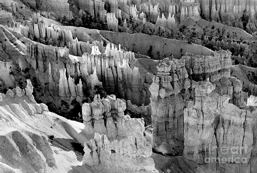 Bryce Canyon BW Painting by Cindy McIntyre