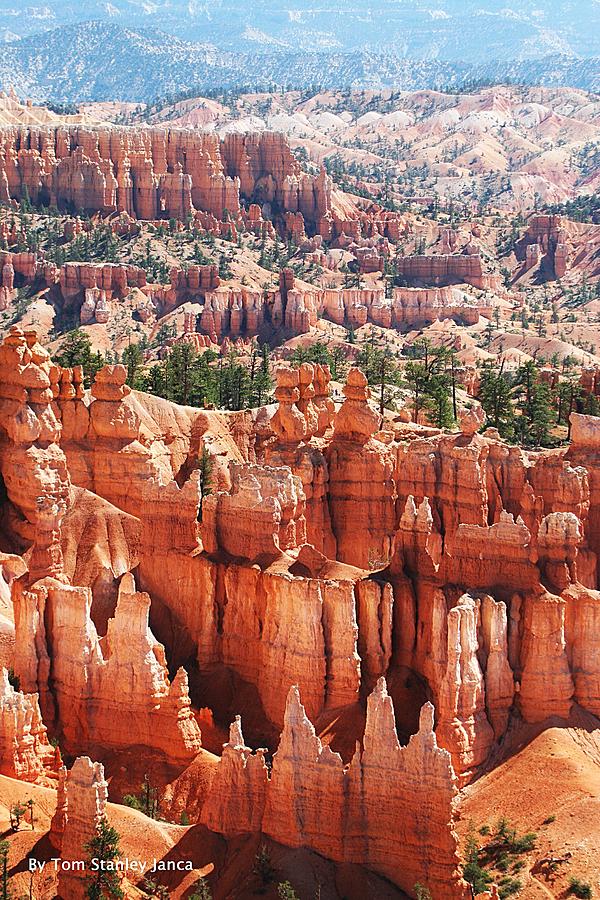 Bryce Canyon Colorful Site Photograph by Tom Janca