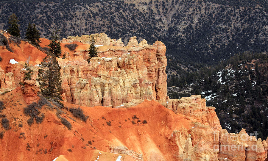 Bryce Canyon Colors Photograph by Mary Haber