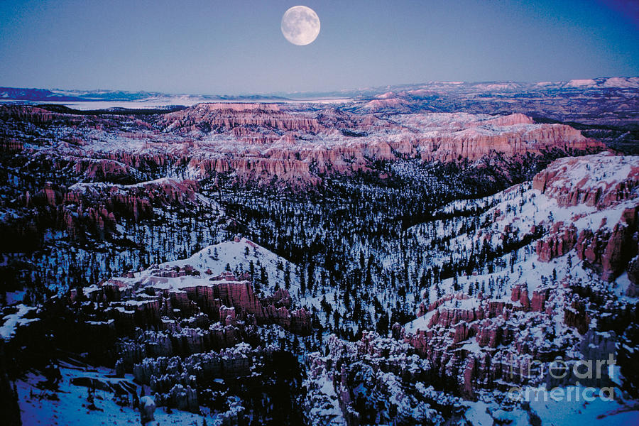 Bryce Canyon Photograph by Daniele Pellegrini