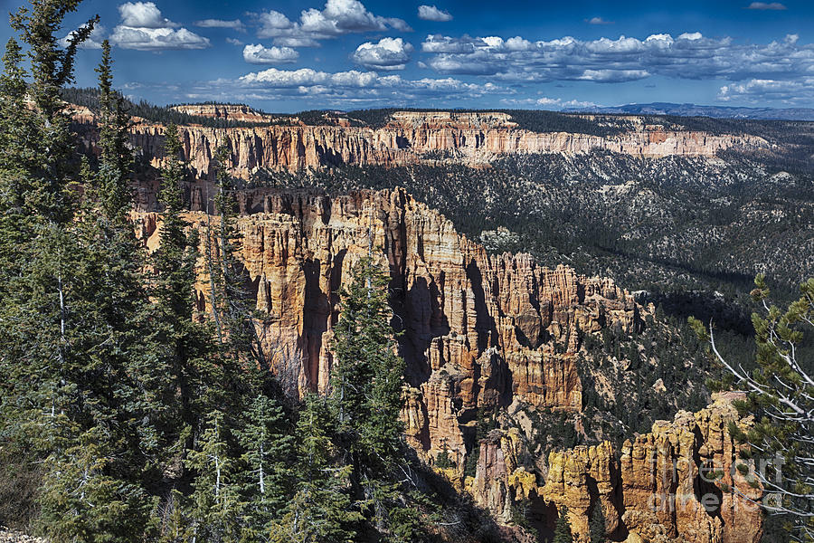 Bryce Canyon Photograph by David Millenheft