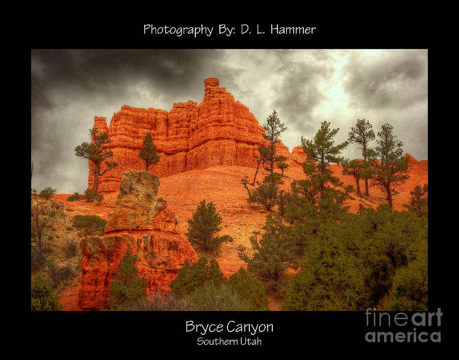 Bryce Canyon Photograph by Dennis Hammer