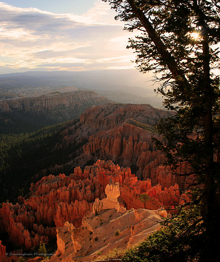 Bryce Canyon Early Morning View Photograph by Dorothy Cunningham