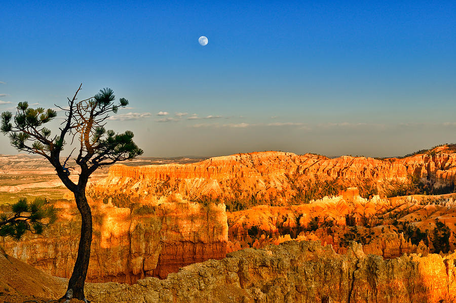 Bryce Canyon Evening Moon Photograph by Greg Norrell