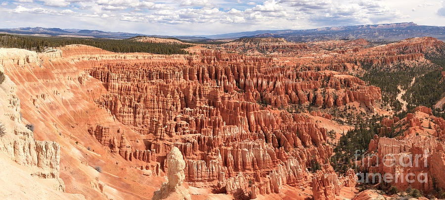 Bryce Canyon Extra Large Panorama Photograph by Adam Jewell