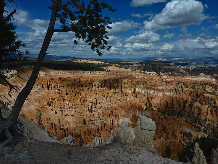 Bryce Canyon Photograph by George Tuffy