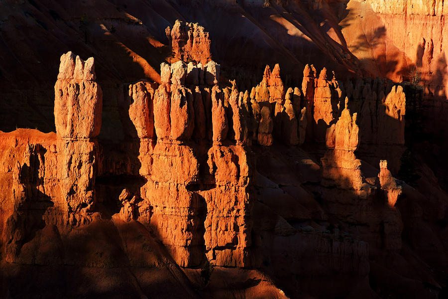 Bryce Canyon Hoodoos Photograph by Daniel Woodrum