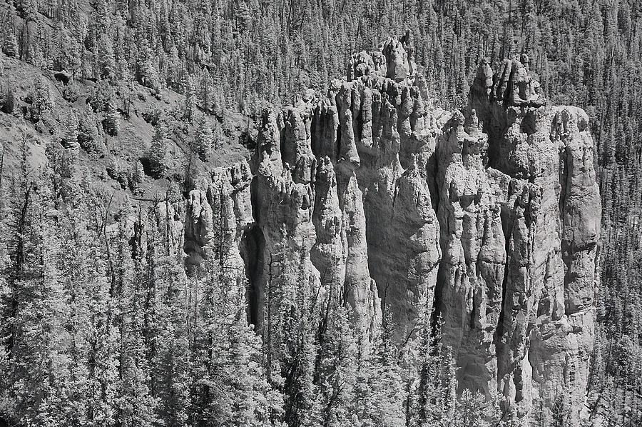 Black And White Photograph - Bryce Canyon Hoodoos by Doug Farmer