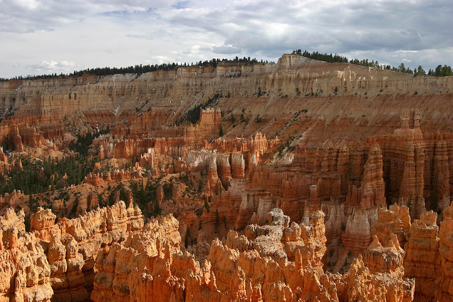 Bryce Canyon Hoodoos Photograph by Wes and Dotty Weber