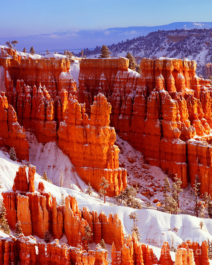 Bryce Canyon in Snow Photograph by Benedict Heekwan Yang