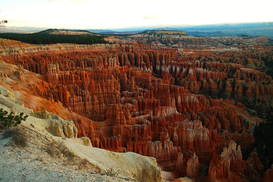Bryce Canyon In The Afternoon Photograph by Jeff Swan
