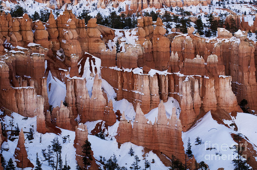Bryce Canyon In Winter 2 Photograph by Bob Christopher