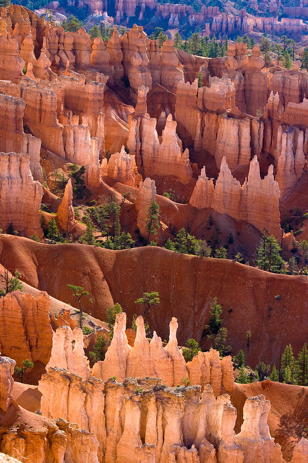 Bryce Canyon Photograph by James BO Insogna
