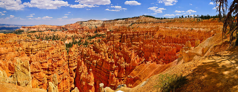 Bryce Canyon June Panorama Photograph by Greg Norrell