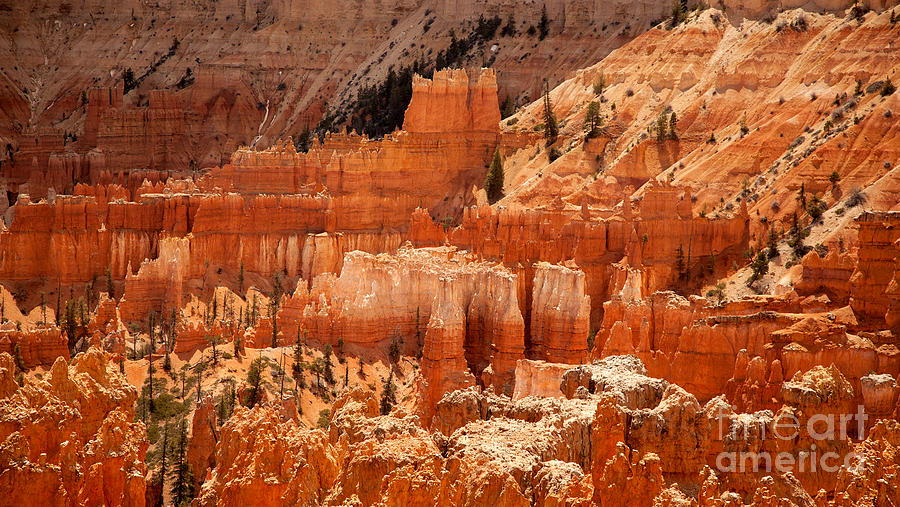 Bryce Canyon landscape Photograph by Jane Rix