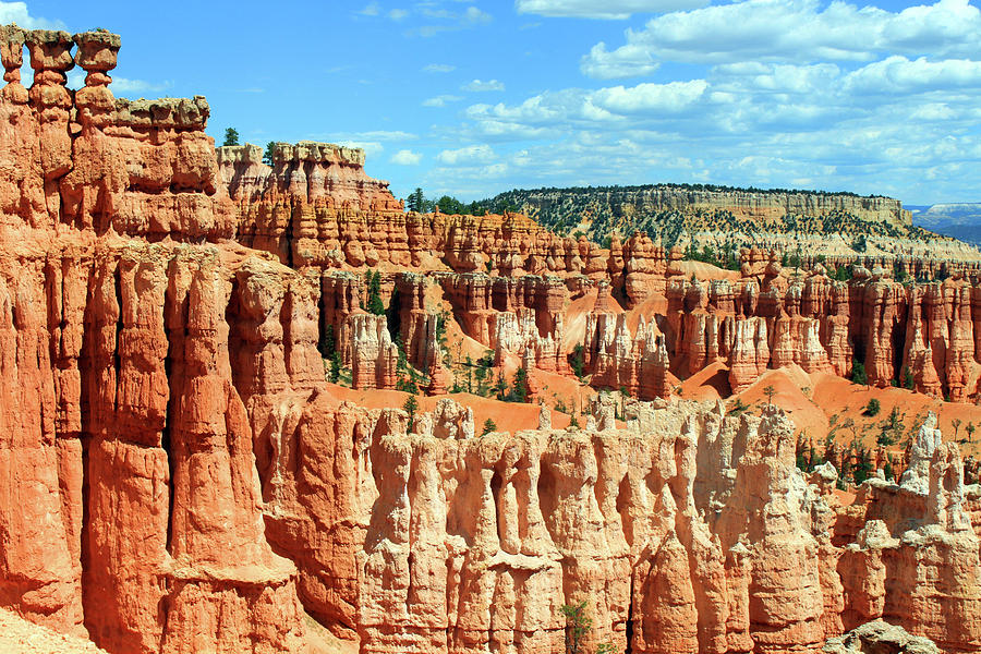 Bryce Canyon Photograph by Ludobros