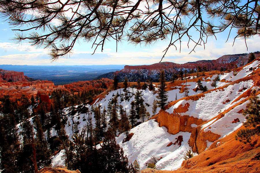 Landscape Photograph - Bryce Canyon by Marti Green