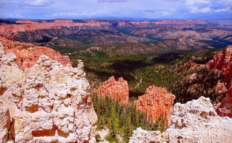 Bryce Canyon National Park					 Photograph by Ann Johndro-Collins