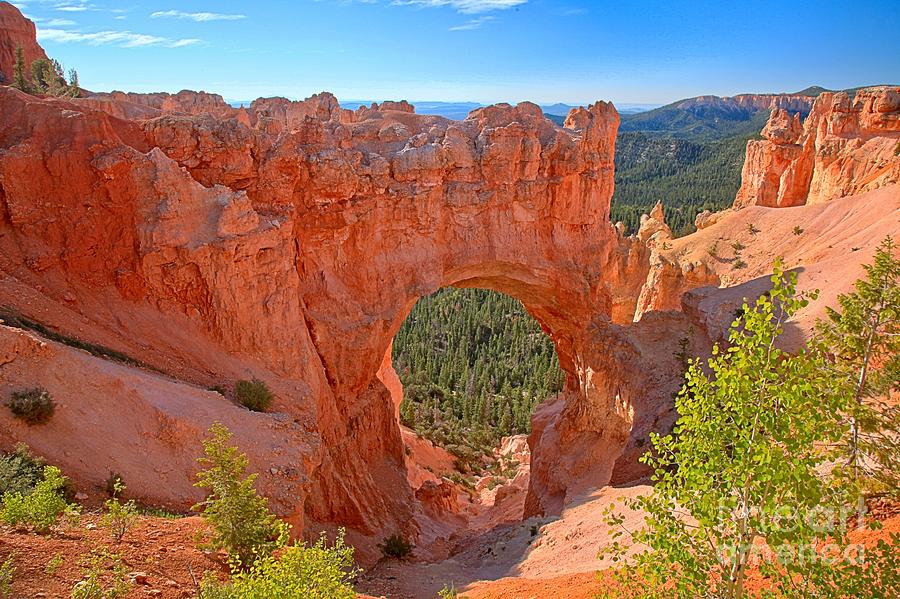 Bryce Canyon National Park Photograph - Bryce Canyon National Park Arch by Adam Jewell