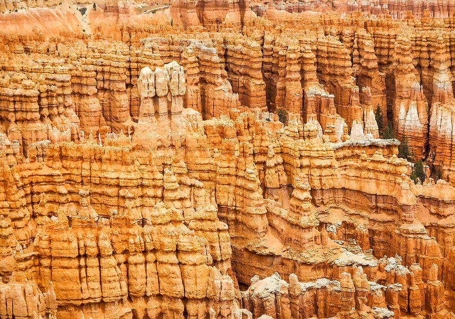 Bryce Canyon National Park Photograph by Denise Bird