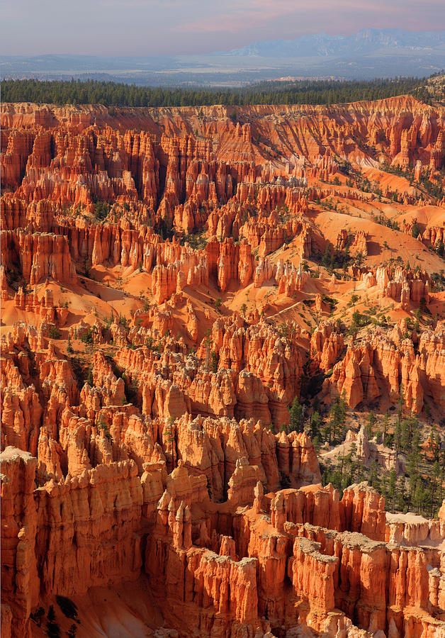Bryce Canyon National Park - Photograph by Ed Freeman Bryce Canyon National Park - Photograph by Ed Freeman