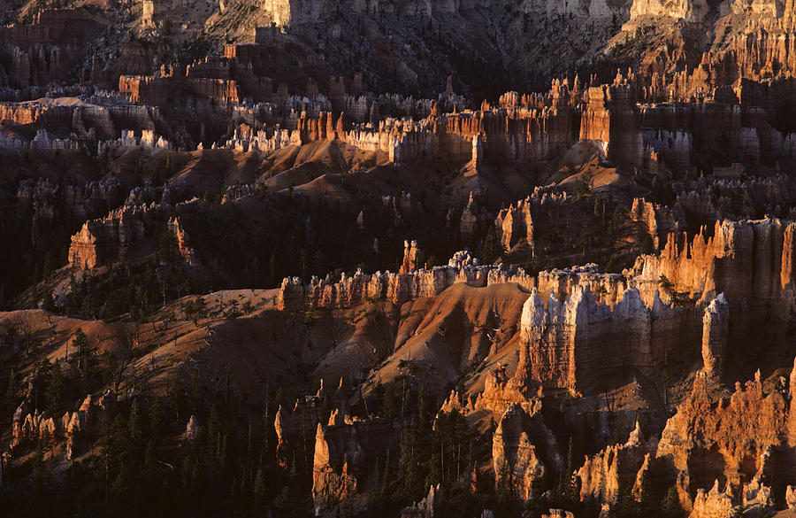 Bryce Canyon National Park Hoodo monoliths sunrise southern Utah Photograph by Jim Corwin